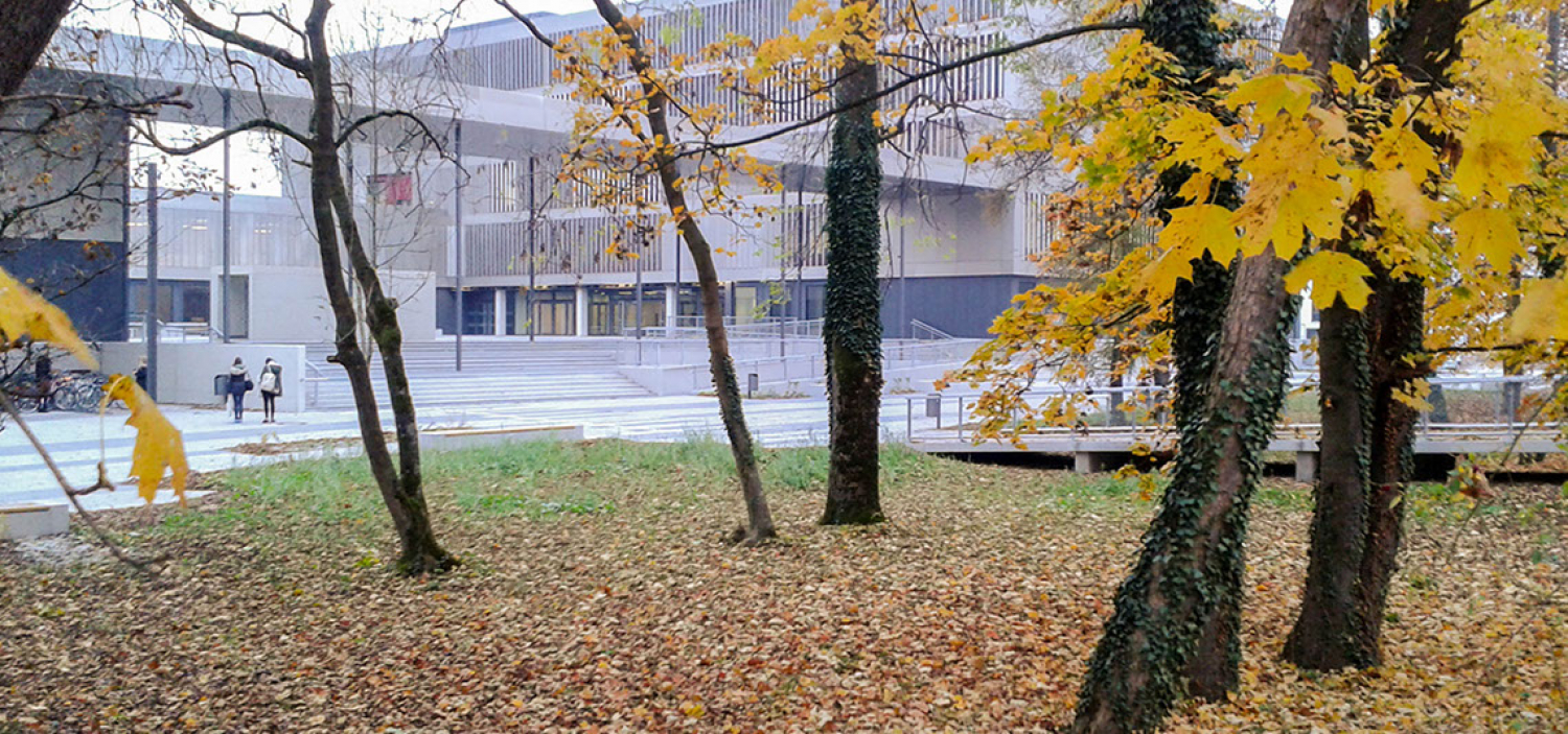 Schulen und Universitäten
